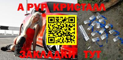 тгк Гай