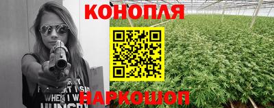 тгк Гай