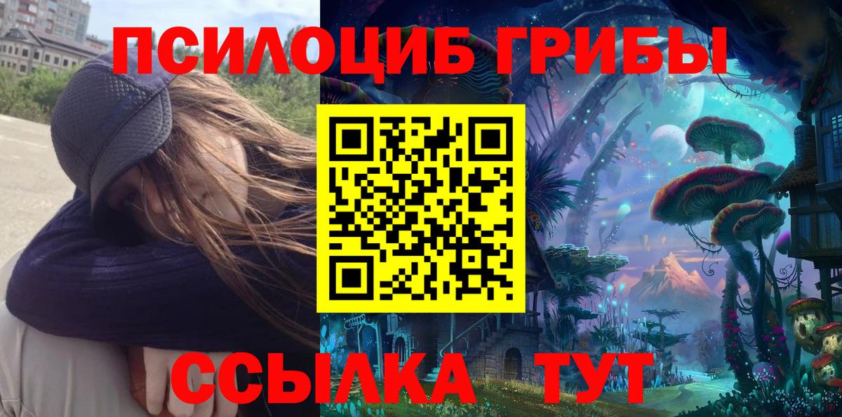 Псилоцибиновые грибы мицелий  Вход с VPN  Ипатово  Галлюциногенные грибы прущие грибы 